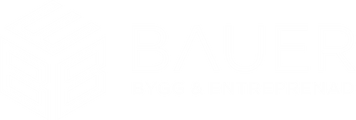BBE Bauer AB